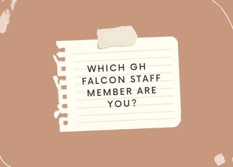 Take this quiz to find our which GH Falcon writer you are!