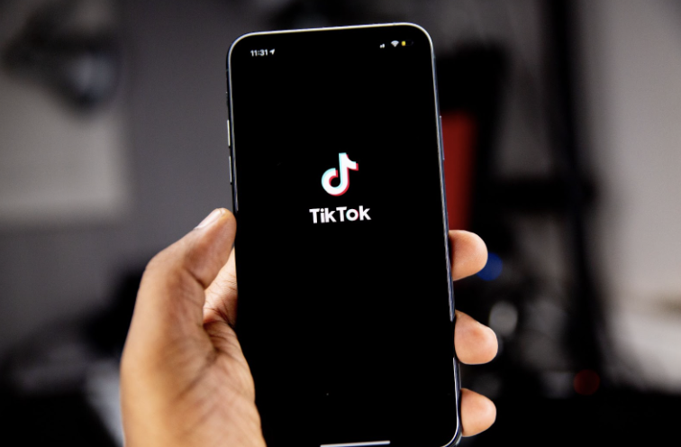 TikTok is a highly popular, influential, and controversial app launched in 2016.
