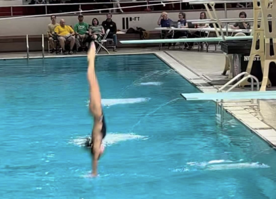Eva Bostwick (26) diving at the high school diving Southwestern Atlantic Conference (SWAC). 
