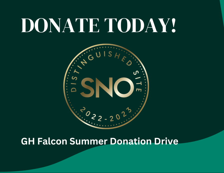 Summer Donations to the GH Falcon
