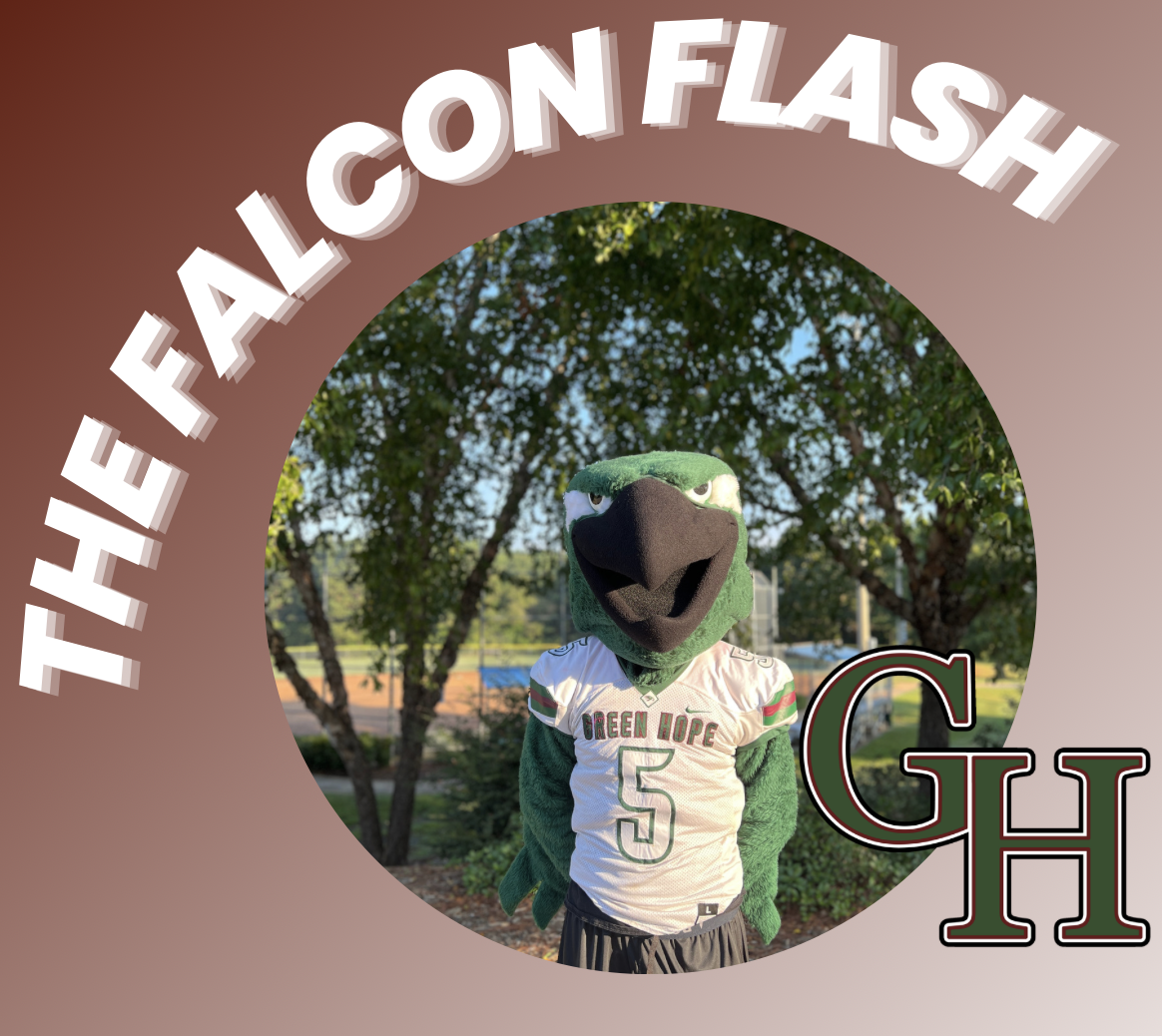 Falcon Flash Header