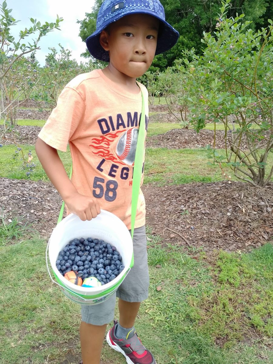 Blueberry Thrill Farms offers a variety of fruits and vegetables that change with the season, such as blueberries in summer and apples in fall.