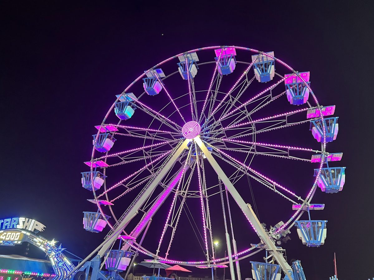 The Ferris wheel is a state fair staple. It is especially popular at night when the lights turn on.