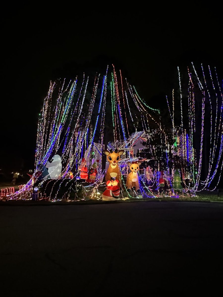 Headlined by the impressive tree lights, the house on Council Court draws in a large crowd annually. 