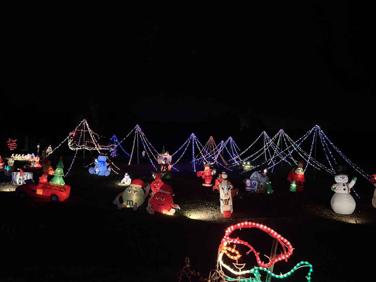 Poles in the yard form imitation Christmas trees, set up around iconic inflatable winter characters.