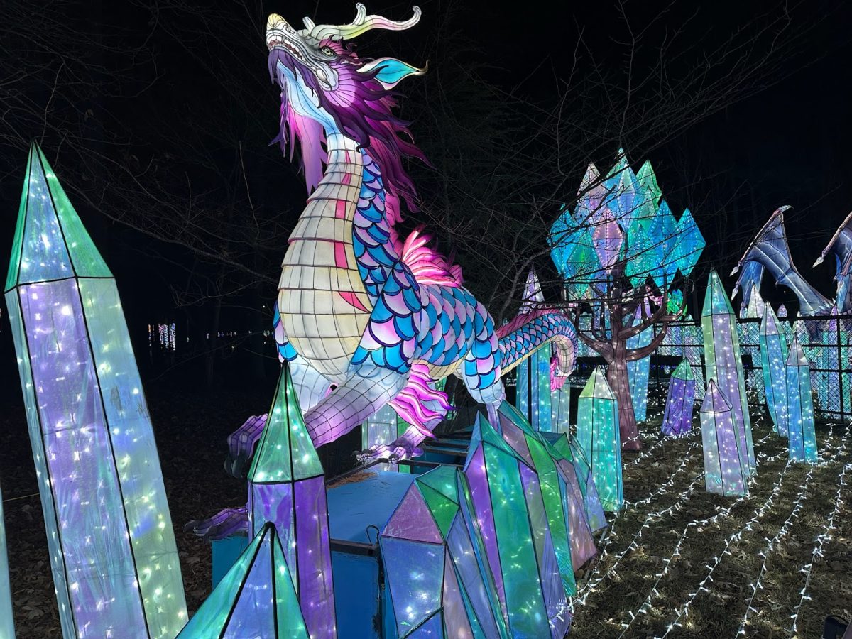 Crystalized dragons lined the outer rim of Koka Booth with lights on the ground making a clear pathway.