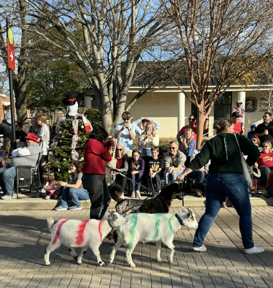 Mosa pet spa resort and boutique brought many different animals, including goats and dogs that were painted in Christmas colors.