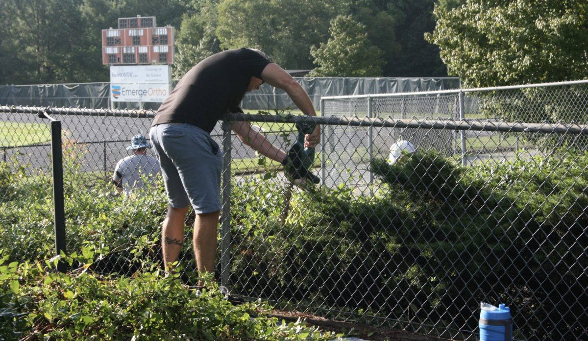 Invasive species pose a problem to fragile ecosystems in the state, but are often spread by unknowing homeowners. 