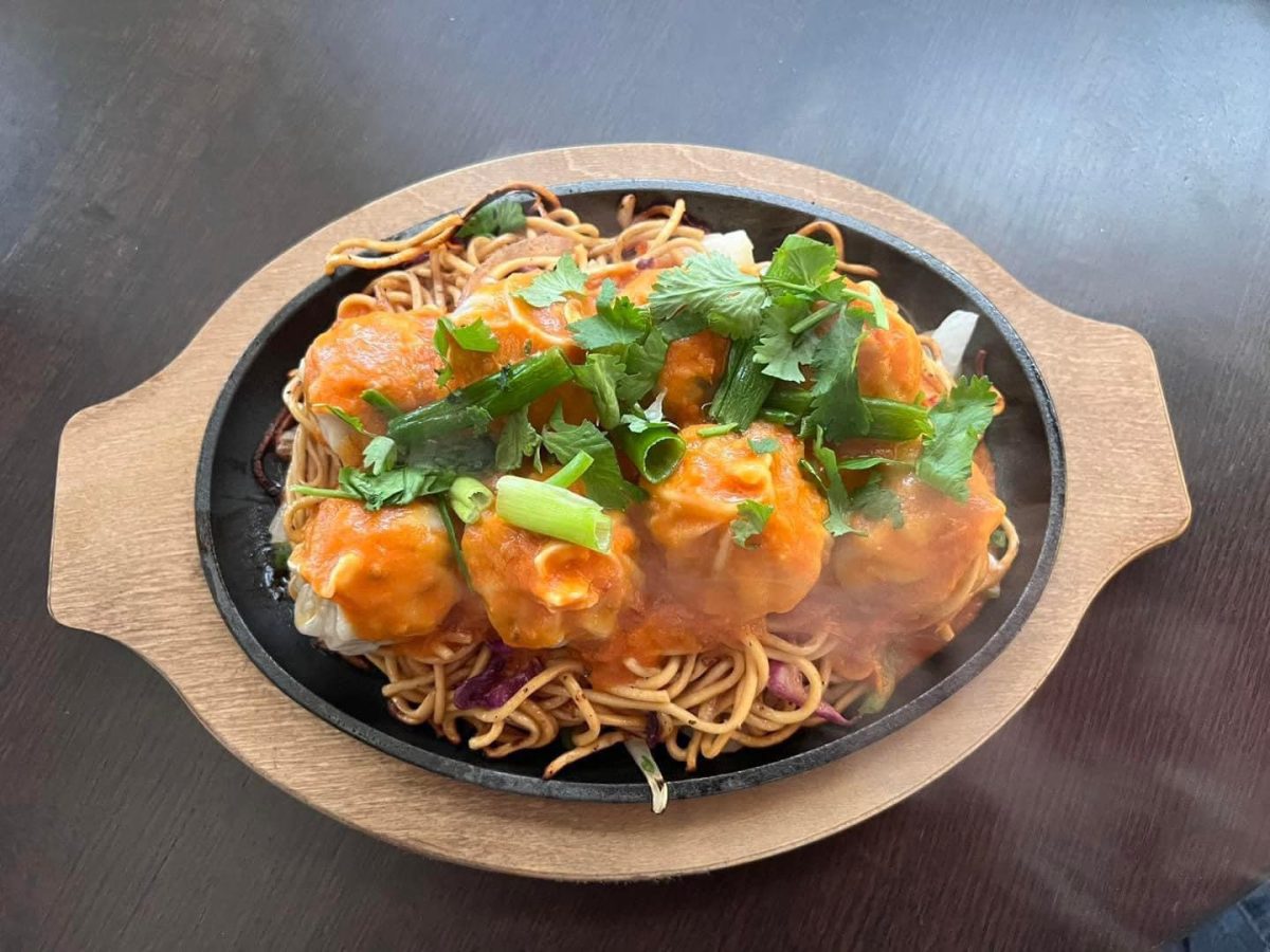 Across the Triangle, there are a variety of South Asian restaurants to try! Pictured above is a sizzling platter of juicy momo and fried noodles at Third Eye Momo and Grill.