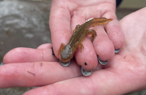 Quiz: Which iconic AP Environmental Science lab are you?