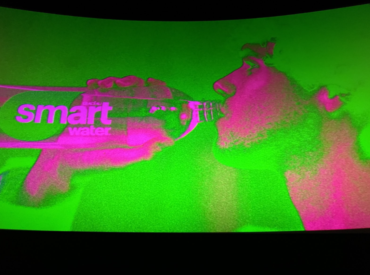 The destruction caused by showings of “A Minecraft Movie” have caused many issues, including broken screens.