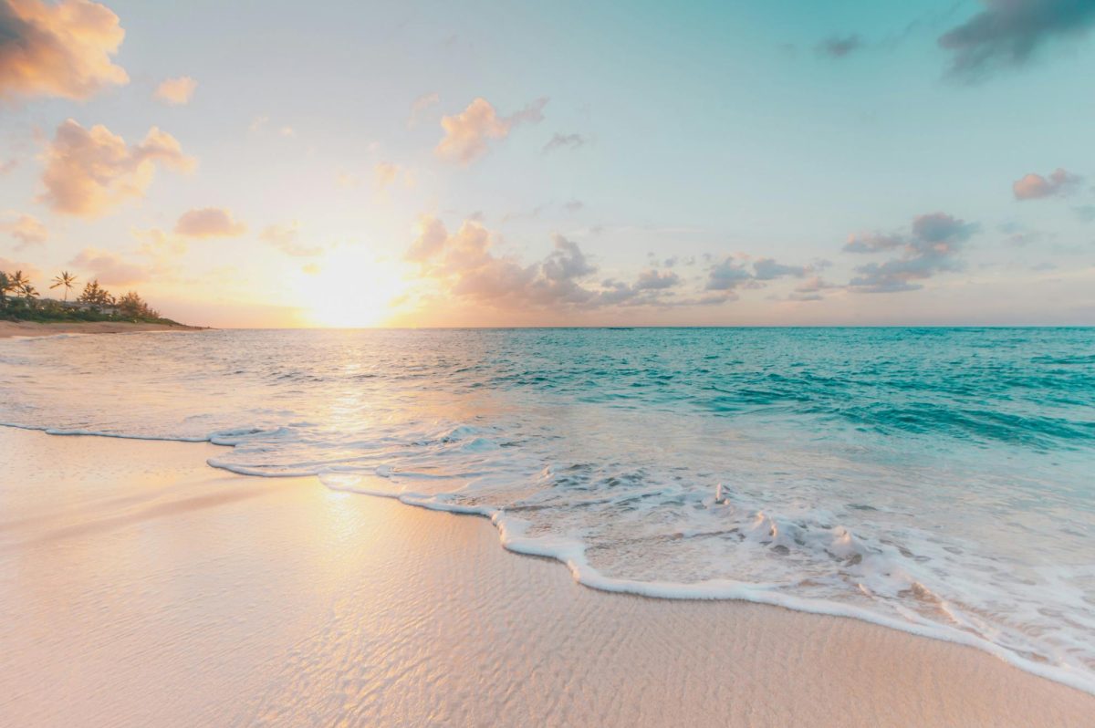 Photo used with permission by Sean Oulashin on Unsplash.