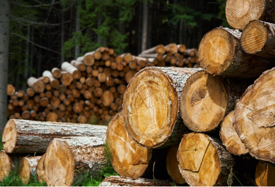 Lumber is a subject of debate between America and Canada, the latter frequently refusing its exchange because of tariffs. Photo used with permission from Nikola Pavan via Unsplash.