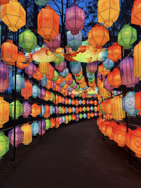 When patrons enter the festival, the walkway is lined with colorful lanterns, making for a great photo opportunity and a beautiful introduction to the more detailed elements of the Lantern Festival.
