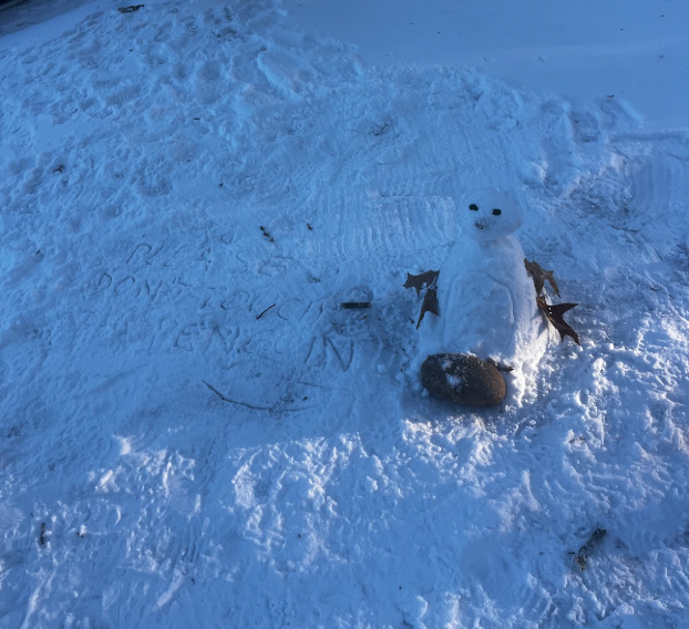 At Ed Yerha Park, snow conditions were ideal for making snowmen (or snow-penguins).