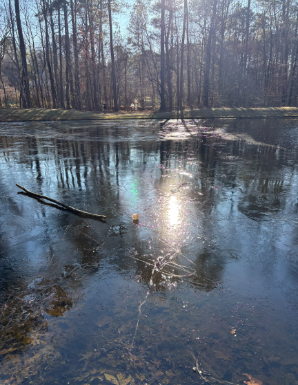 In one of the coldest winters in years, local ponds, lakes and puddles were frozen over. Photos used with permission from Lily Fang.