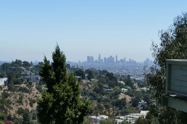 Hollywood Hills, a recognizable site anywhere, was near where the crime took place. Photo used with permission from Sebastian via Unsplash.
