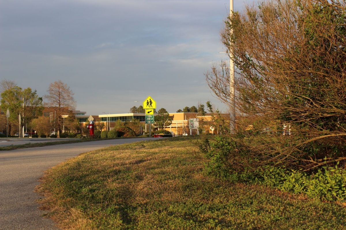 Patchy green turf lines the path towards Green Hope High School. It takes a lot of resources to maintain vast amounts of level green lawn, from regular mowing to treatment with pesticides and weeding. But is it actually worth it?