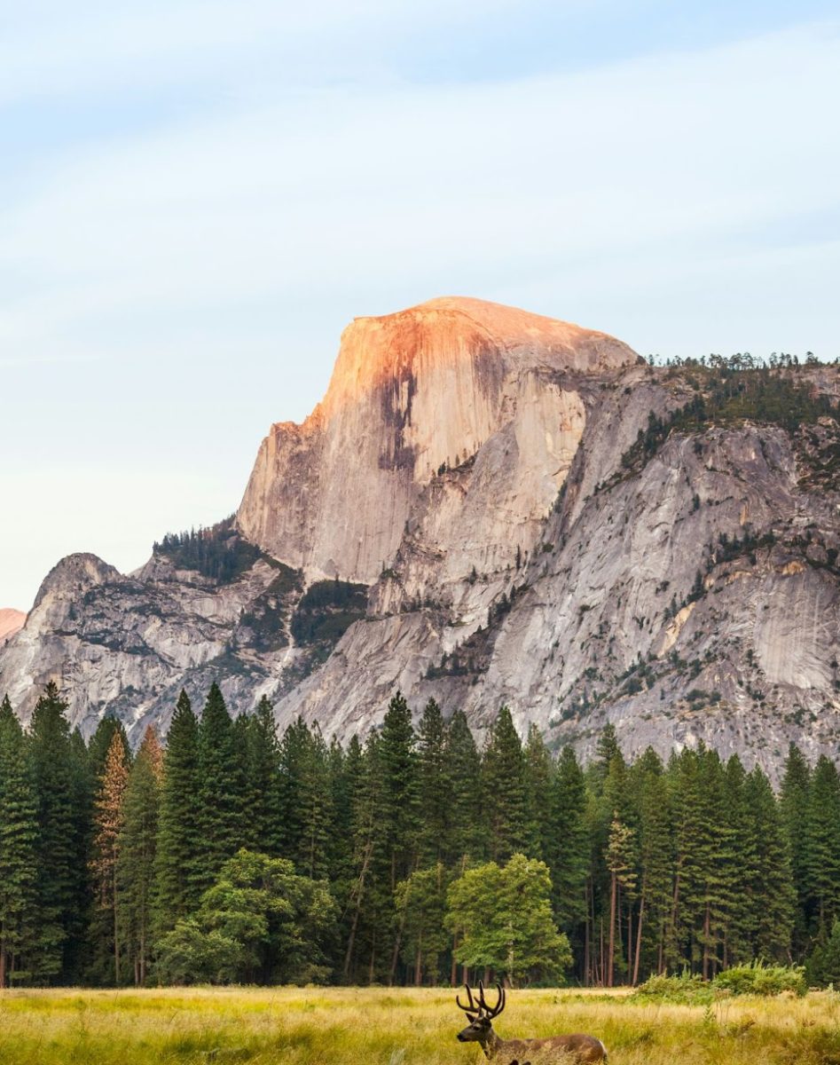 El Capitan stands as a historic pillar in free solo climbing, first from Dean Potter’s part-by-part ascent, and later from Alex Honnold’s full ascent. Photo used with permission from Johannes Andersson via Unsplash.