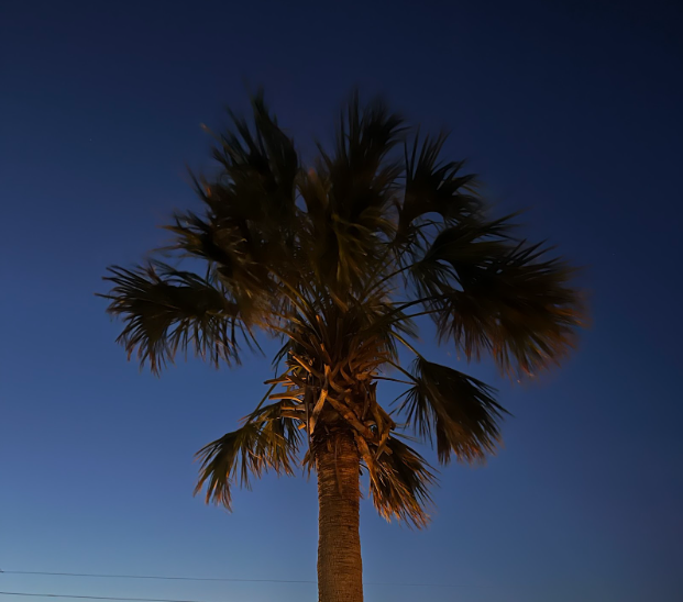 Topsail Beach, North Carolina is a popular beach location for Green Hope students, as it is only 2.5 hours by car.