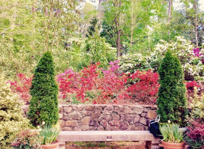 Sarah P. Duke Gardens is filled with flowers, trees and benches, making it the perfect place to take prom photos. Photo used with permission from Ritika Mora (‘27).