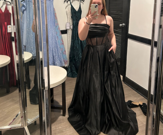 Prom dresses are a huge part of the dance, and choosing what to wear is essential.