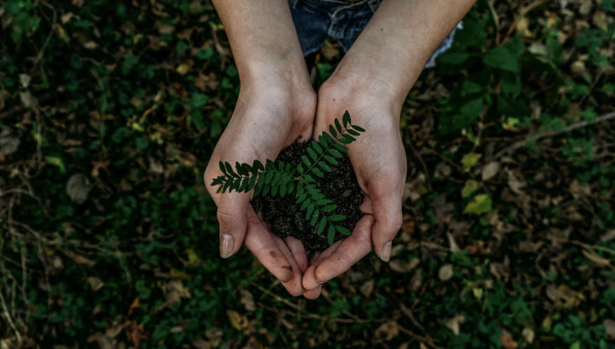 Many people practice gardening to partake in Earth Day. Photo used with permission of Noah Buscher via unsplash.