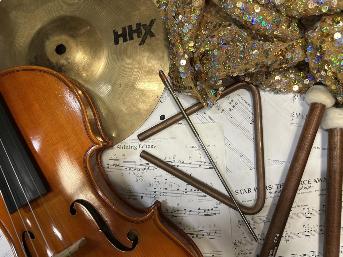 The sports and arts programs have noticeable differences in how much money they receive for budgets and events.