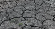 A dried out Crabtree Creek Watershed in Cary, NC is pictured. 4/20/26
